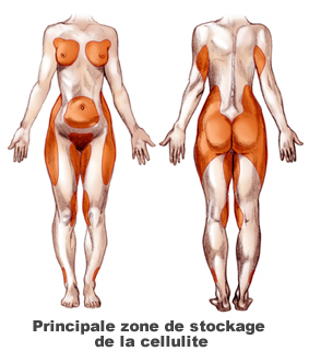 illustration_silhouettes_femme_rmx.jpg illustration_silhouettes_femme_rmx.jpg